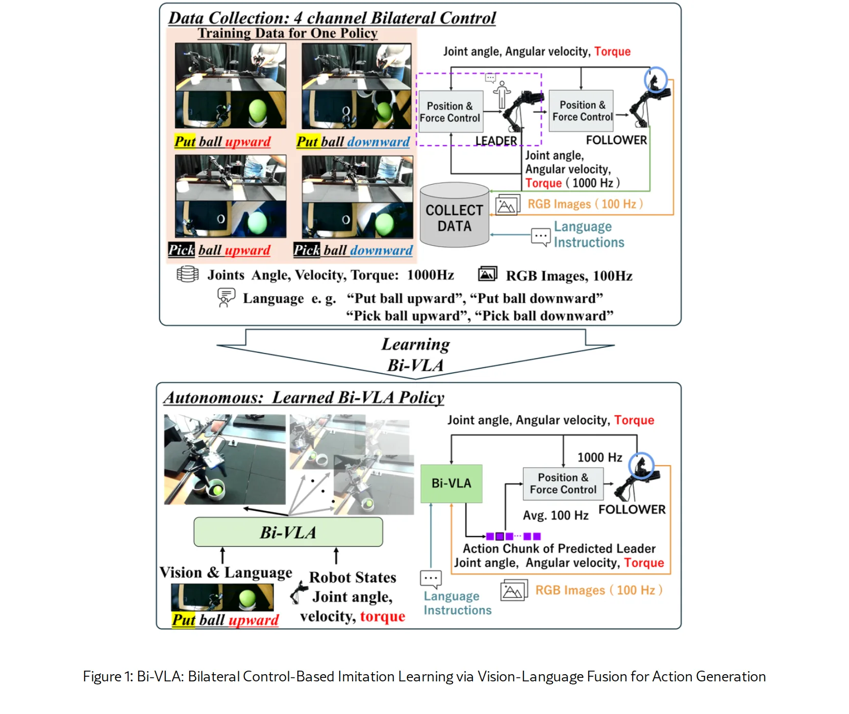 Bi-VLA: Bilateral Control-Based Imitation Learning via Vision-Language Fusion for Action Generation