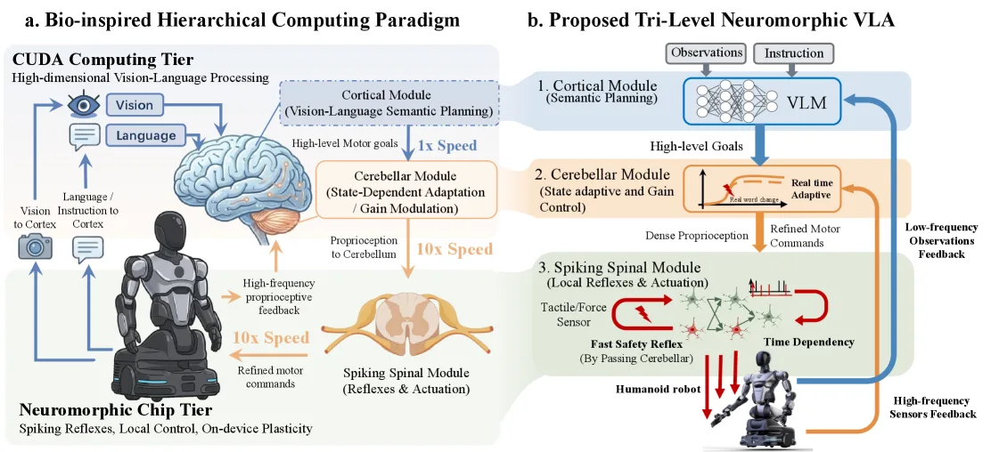 A Brain-inspired Embodied Intelligence for Fluid and Fast Reflexive Robotics Control