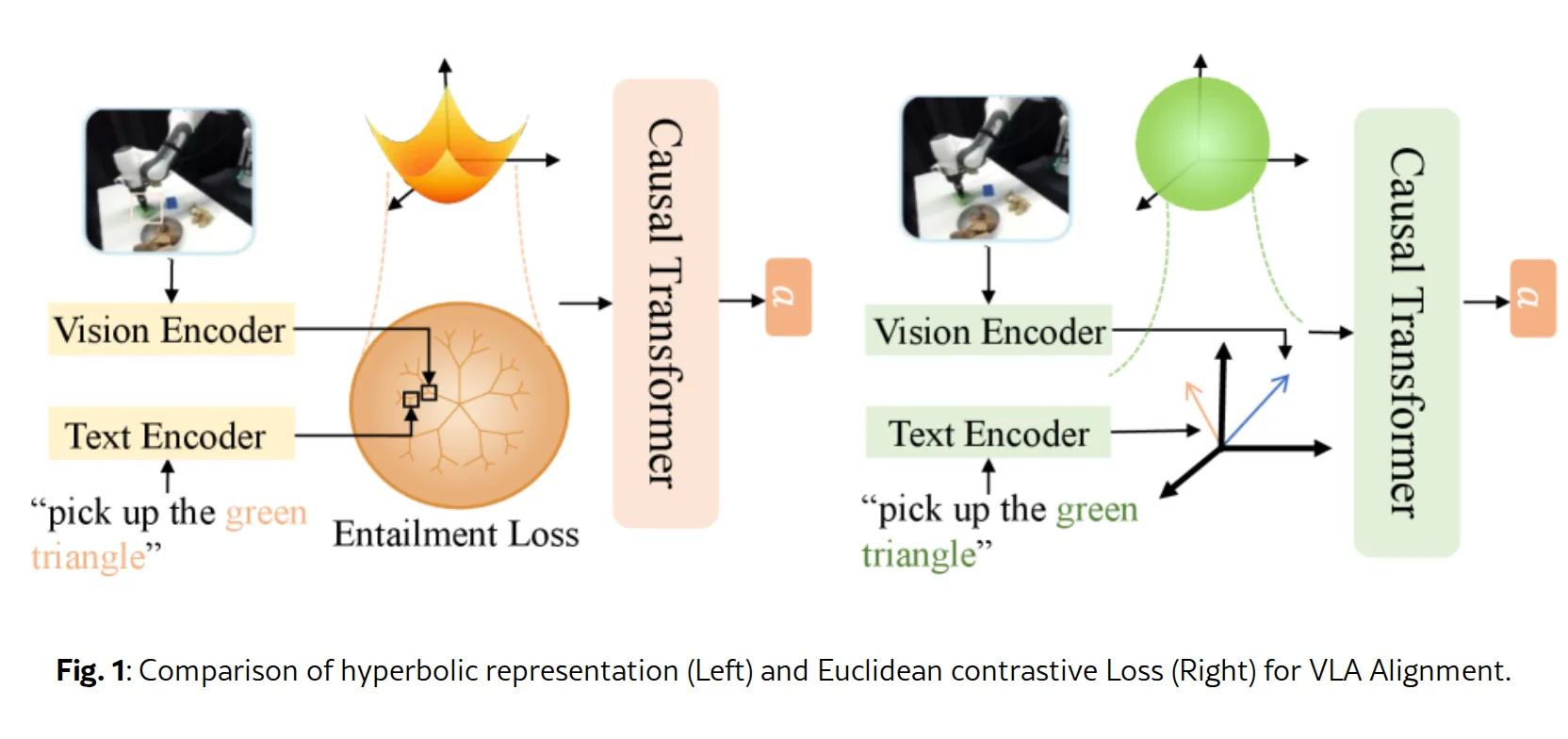 HMVLA: Hyperbolic Multimodal Fusion for Vision-Language-Action Models