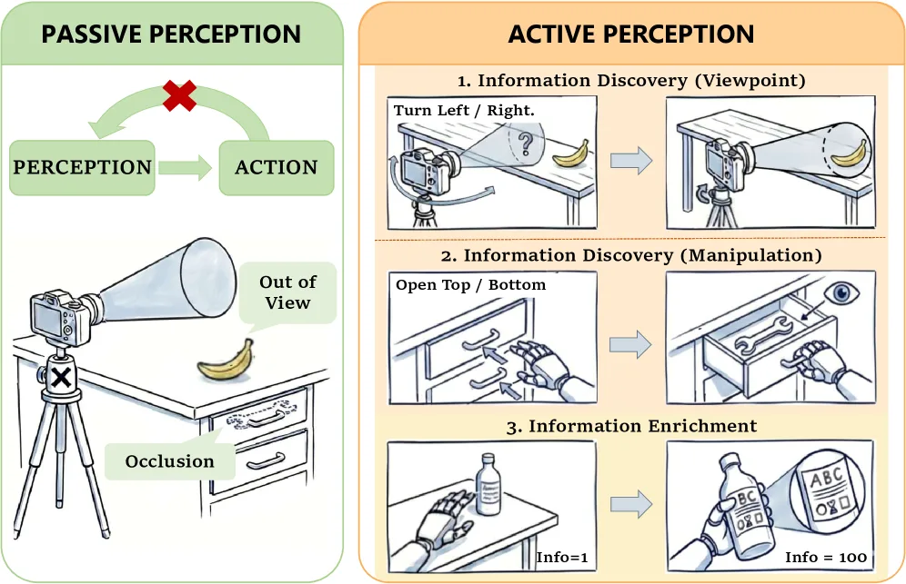 Act, Sense, Act: Learning Non-Markovian Active Perception Strategies from Large-Scale Egocentric Human Data