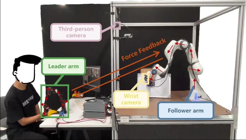 CRAFT: Adapting VLA Models to Contact-rich Manipulation via Force-aware Curriculum Fine-tuning