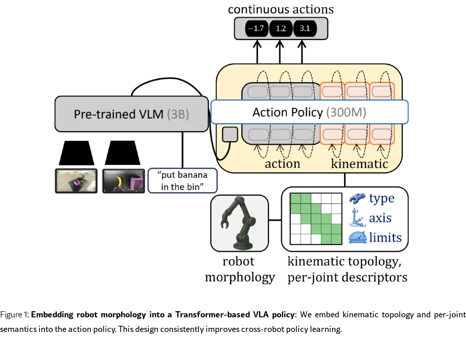 Embedding Morphology into Transformers for Cross-Robot Policy Learning