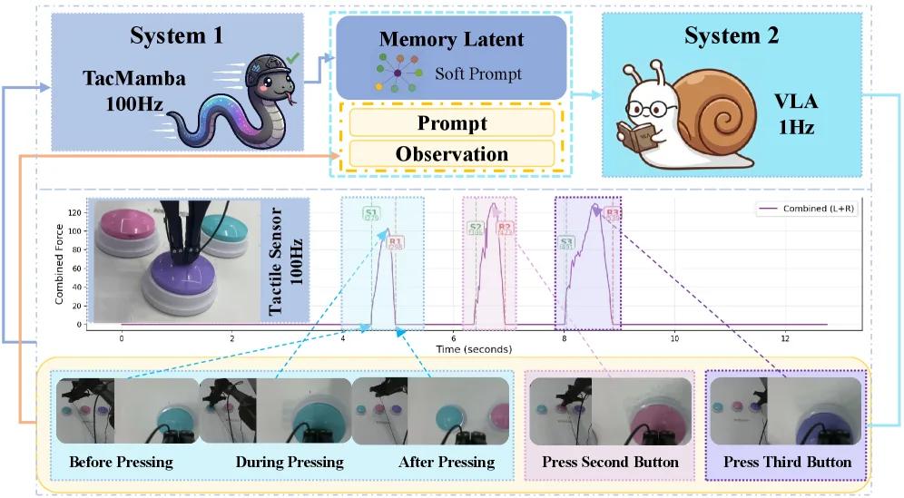 TacMamba: A Tactile History Compression Adapter Bridging Fast Reflexes and Slow VLA Reasoning