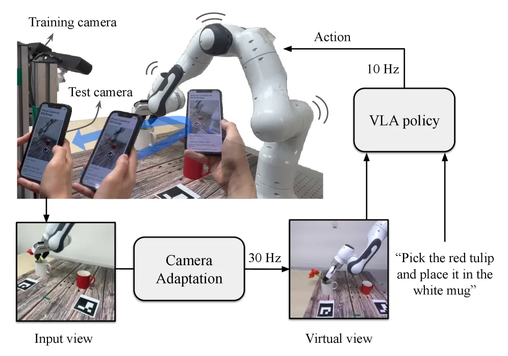 AnyCamVLA: Zero-Shot Camera Adaptation for Viewpoint Robust Vision-Language-Action Models