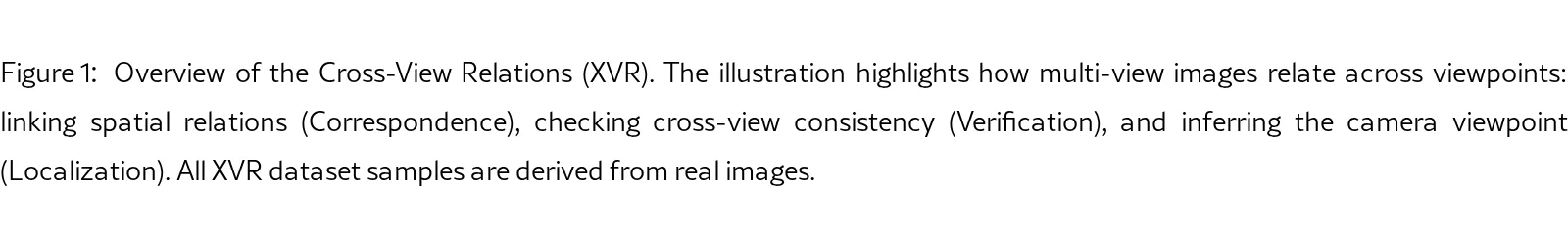 Learning Multi-View Spatial Reasoning from Cross-View Relations