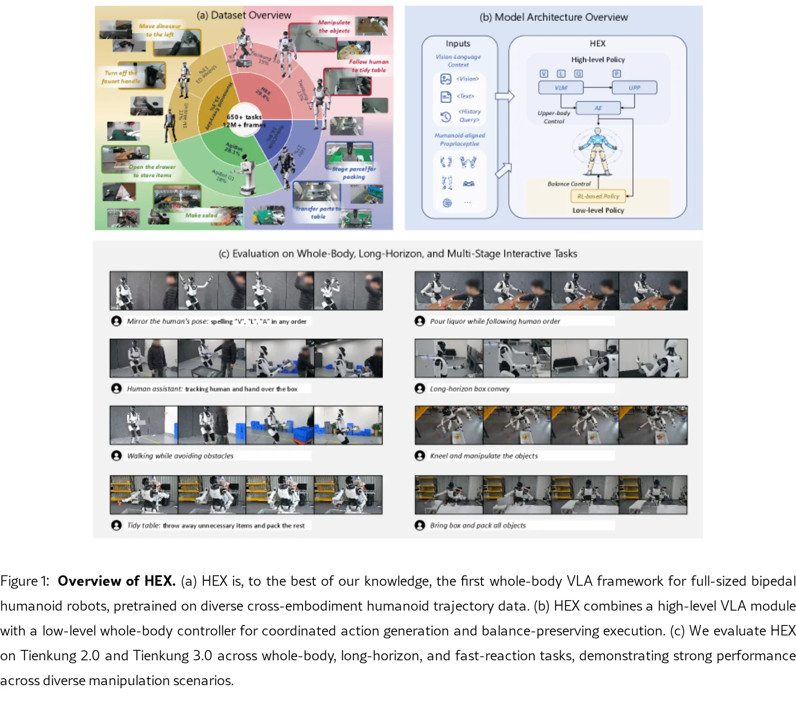 HEX: Humanoid-Aligned Experts for Cross-Embodiment Whole-Body Manipulation