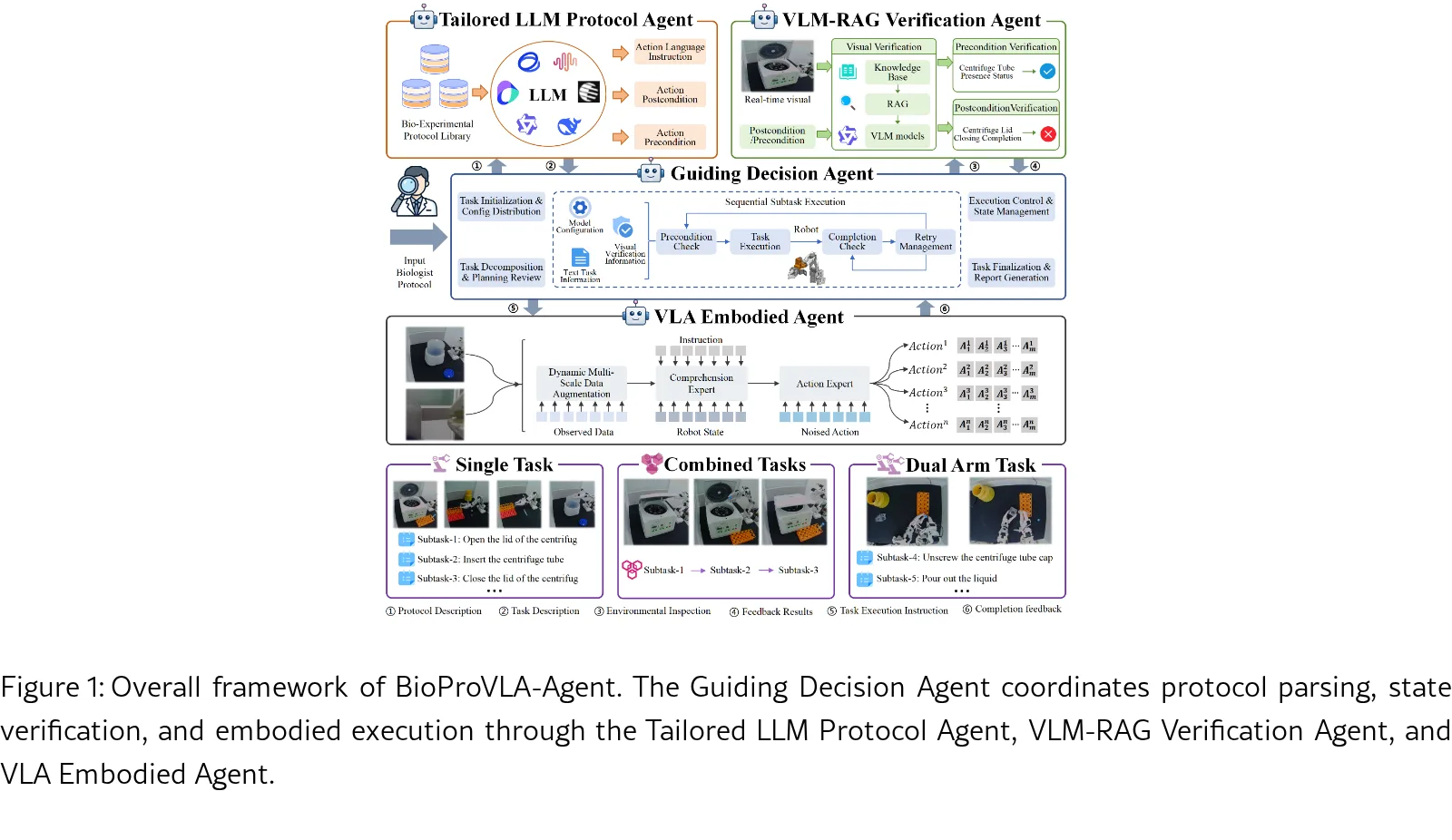 BioProVLA-Agent: An Affordable, Protocol-Driven, Vision-Enhanced VLA-Enabled Embodied Multi-Agent System with Closed-Loop-Capable Reasoning for Biological Laboratory Manipulation
