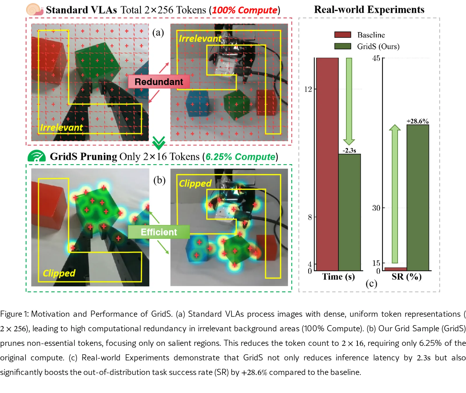 See What Matters: Differentiable Grid Sample Pruning for Generalizable Vision-Language-Action Model