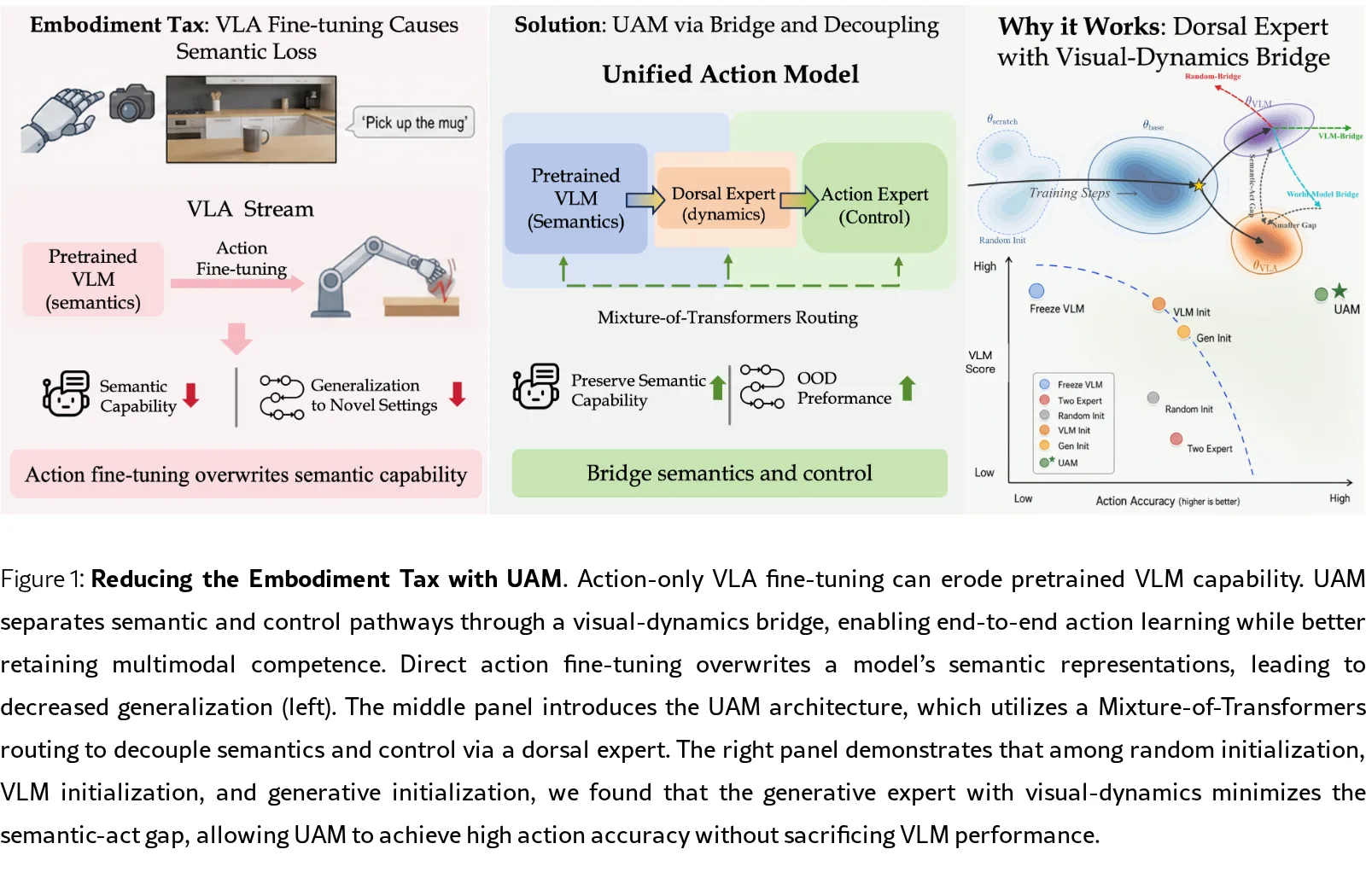 UAM: A Dual-Stream Perspective on Forgetting in VLA Training