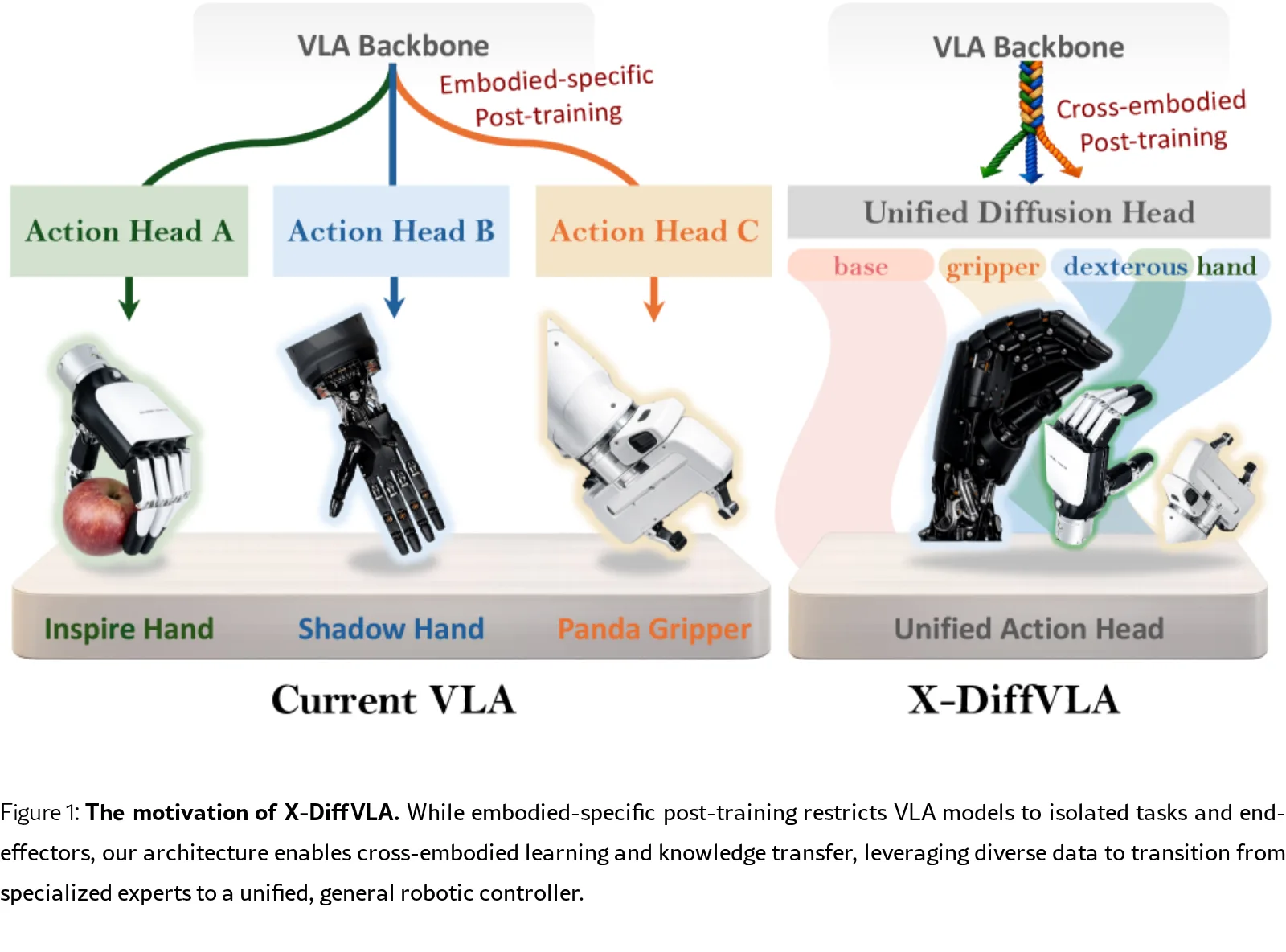 X-DiffVLA: X-Embodied Diffusion Action Heads for Vision-Language-Action Models
