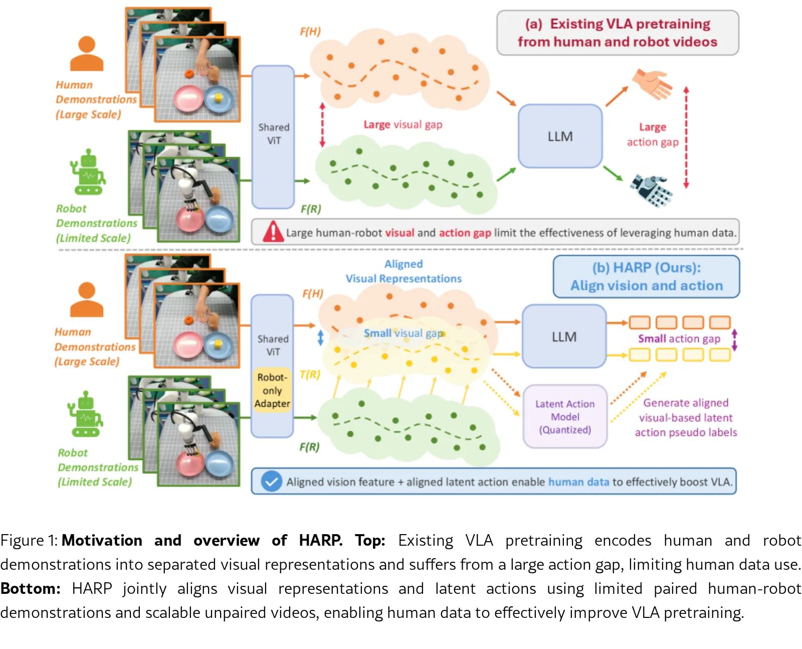 HARP-VLA: Human-Robot Aligned Representation Learning for Vision-Language-Action Model