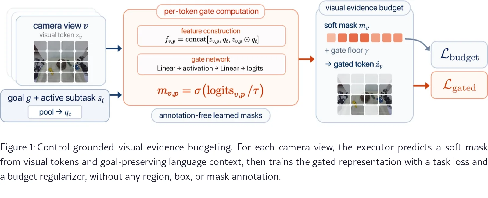 See Less, Specify More: Visual Evidence Budgets for Generalizable VLAs